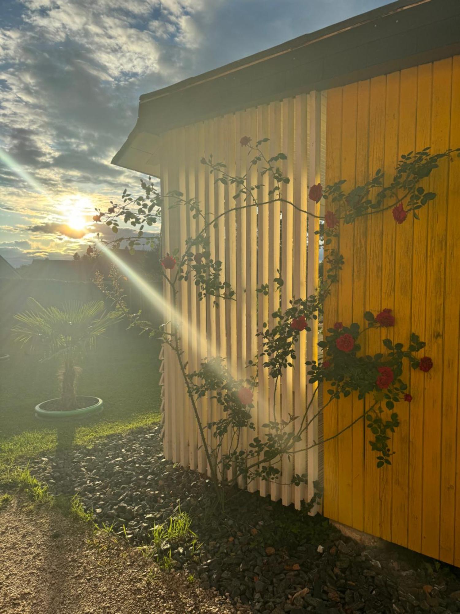 Bungalows Sonnenblume Am Klopeiner See 상트칸지안 외부 사진